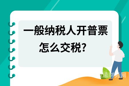 一般纳税人一年需要赚多少钱（一般纳税人一年需要赚多少钱交税）