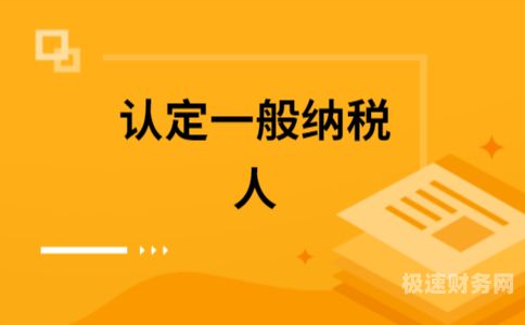 一般纳税人是什么公司性质的人（一般纳税人是什么公司性质的人员）