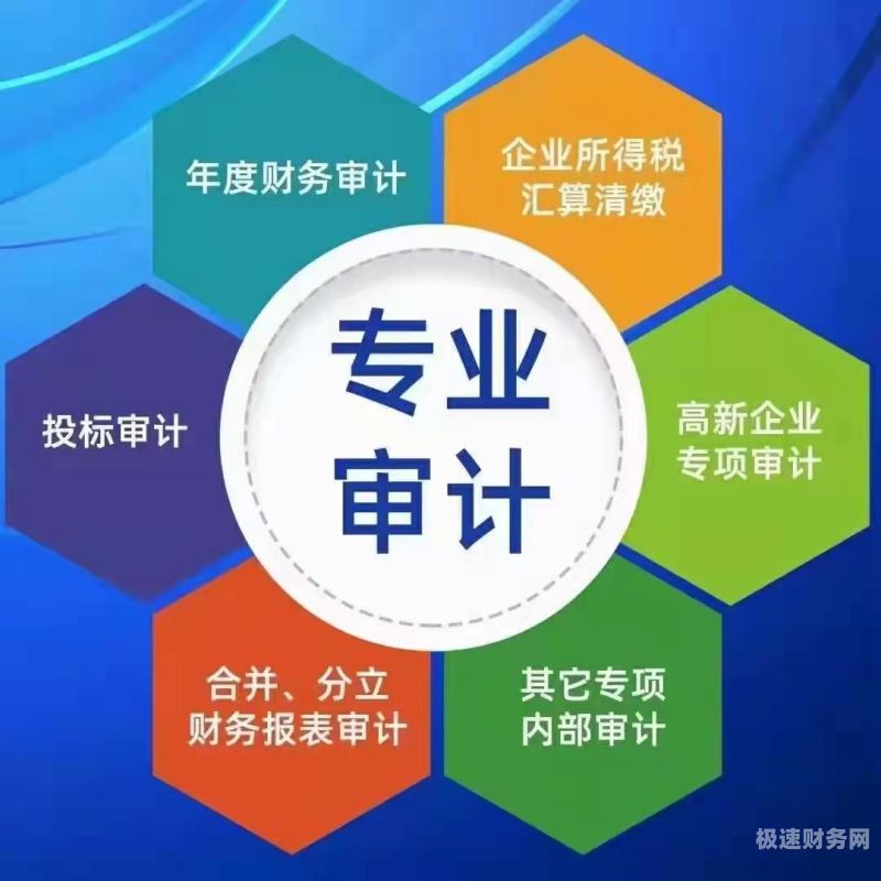 公司财务最怕审计什么内容（公司财务怕什么单位检查）