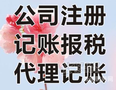 新代理记账企业名录怎么填（代理记账公司新进入者分析）