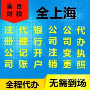 松江区项目财税咨询是什么（财税公司项目）