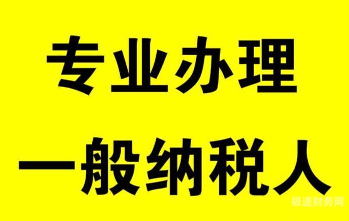 一般纳税人的名称是怎么来的（一般纳税人的公司名称）