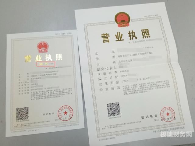 沈阳个体户怎么交养老险（沈阳个体户怎么交养老险费）