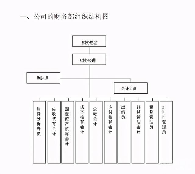 公司财务怎么定的（公司财务怎么安排）