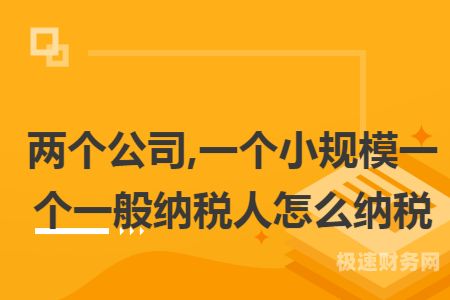 刚注册一般纳税人怎么避税（刚注册一般纳税人可以注销吗）