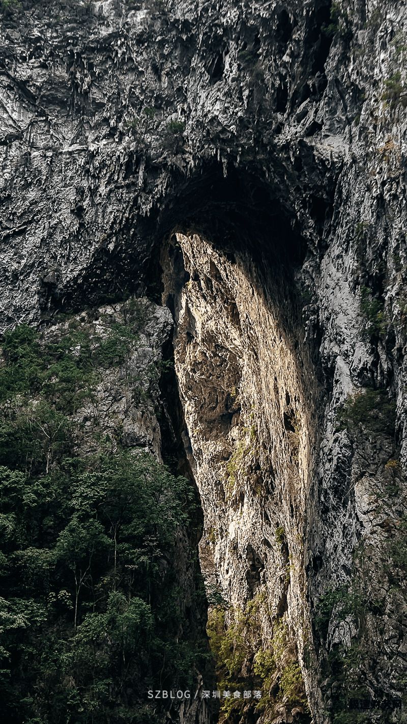 黎塘镇注册营业执照在哪里办（黎平办营业执照怎么办）