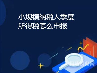 上海税务小规模申报怎么报（上海小规模纳税人如何网上申报税）