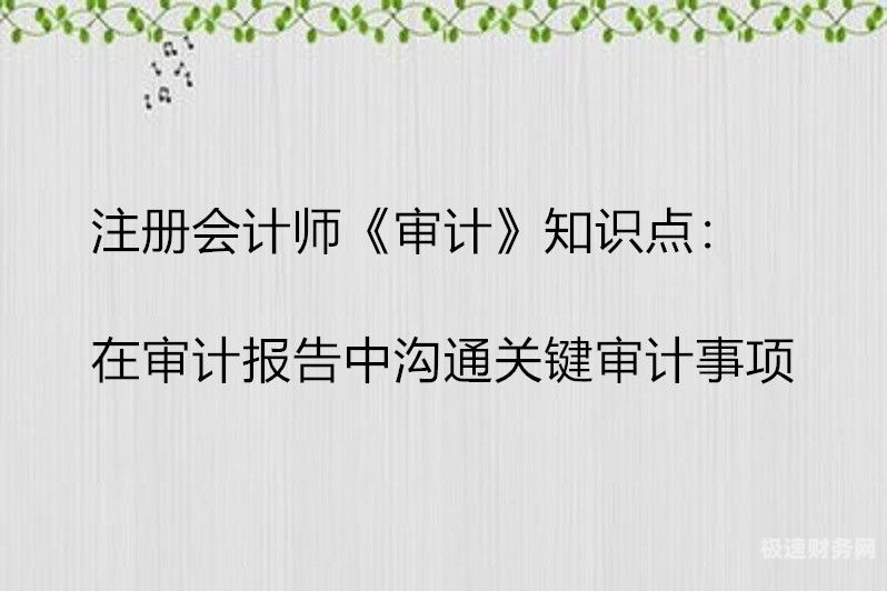 作为会计如何应对审计问题（作为会计如何应对审计问题呢）