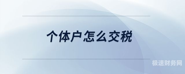 个体户一般出资多少钱合适（个体户多少要交税）