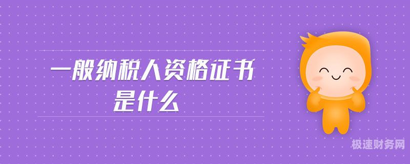 为什么申办一般纳税人（为什么申办一般纳税人资格）