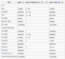 个人财务报表规划怎么写（个人财务报表规划怎么写好）