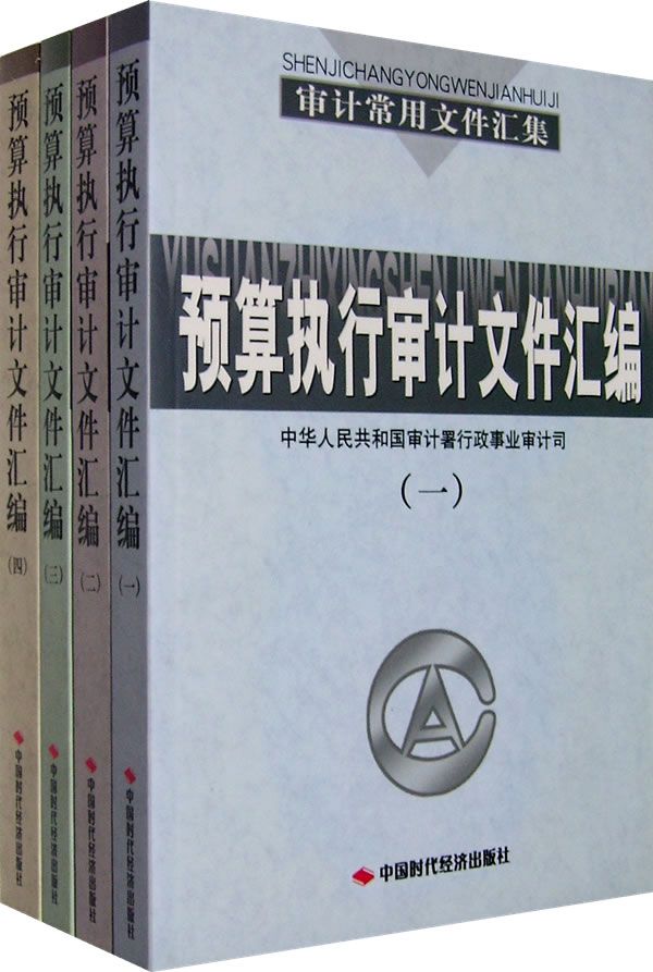 学院经济审计审计方案怎么写（学院经济审计审计方案怎么写好）