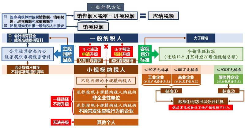 一般纳税人税费种类在哪里查看（一般纳税人纳税税种）