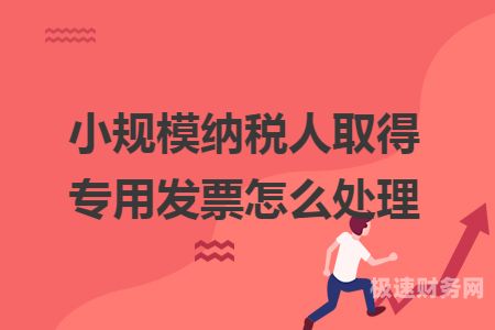 小规模纳税人怎么胶水（小规模纳税人视频）