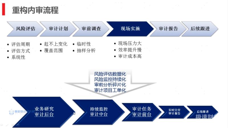 审计电子数据指的是什么（审计 电子数据）