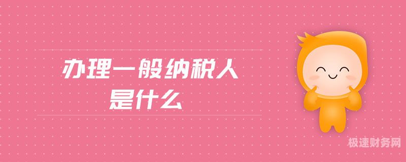 一般纳税人登记号是什么（一般纳税人登记号是什么意思）