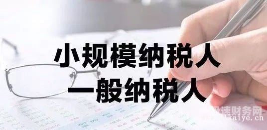 成都一般纳税人实名认证怎么设置（成都税务实名认证在手机上如何操作）