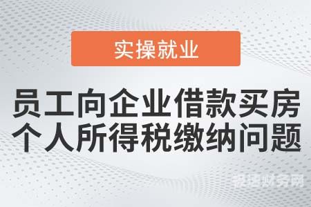 个人所得税初次就业怎么填写（个人所得税初始设置）