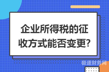 新成立的企业企业所得税哪里交（新成立企业所得税优惠政策）