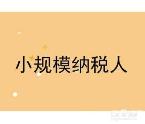 小规模纳税人税金贷款怎么做账（小规模纳税人贷款利息税率）