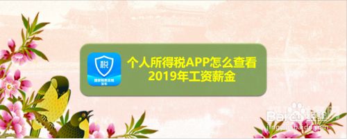 个人所得税APP如何查看名下公司（个人所得税app怎么查询名下公司）