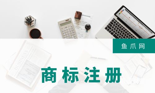 如何查询自己的商标注册流程（怎样查自己注册的商标）