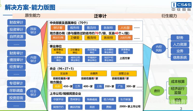 一堆审计资料的软件叫什么（审计必备软件）