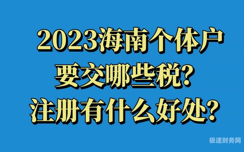 海南个体户为什么便宜（海南个体户为什么便宜些）