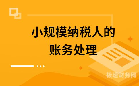 小规模纳税人怎么做税务帐（小规模纳税人怎么做税务帐务）