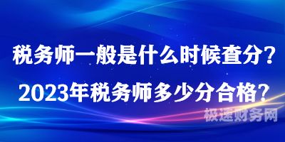 税务师人物介绍英文怎么说（税务师英文简称是什么）