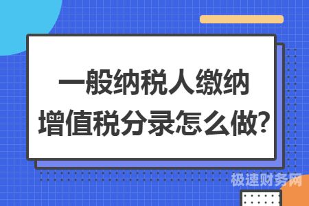 一般纳税人消费税税率是多少（一般纳税人 消费税）