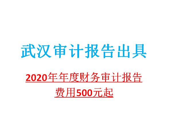 投标审计报告怎么写（投标审计报告怎么写范文）