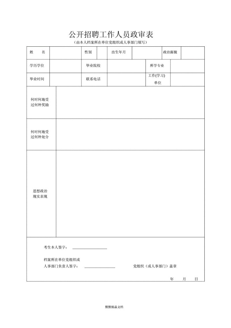 税务政审综合考察表怎么填（税务局政审材料）