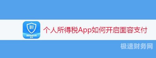 个人所得税在APP怎么缴纳（个人所得税在app怎么缴纳的）