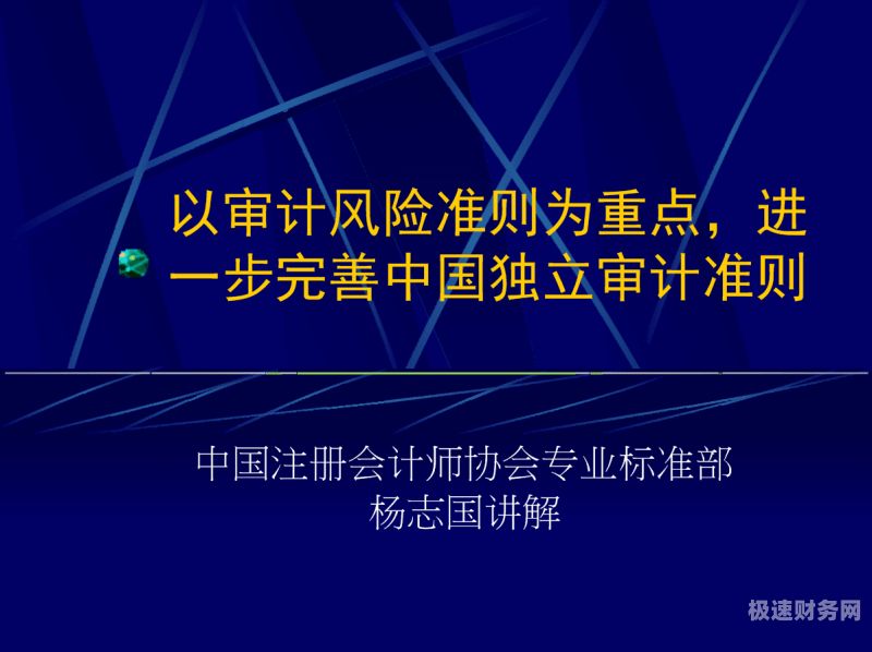 审计的八大准则是指什么（审计8大）