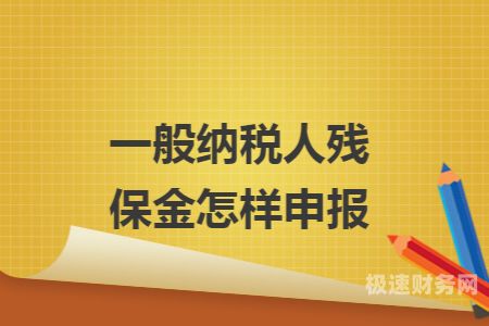 新办一般纳税人怎么缴费（新开办一般纳税人公司的流程）