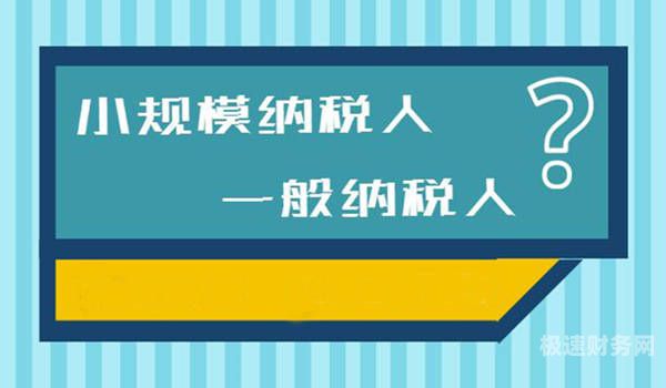 哪些是特定一般纳税人（一般纳税人提供特定应税可以选择适用）