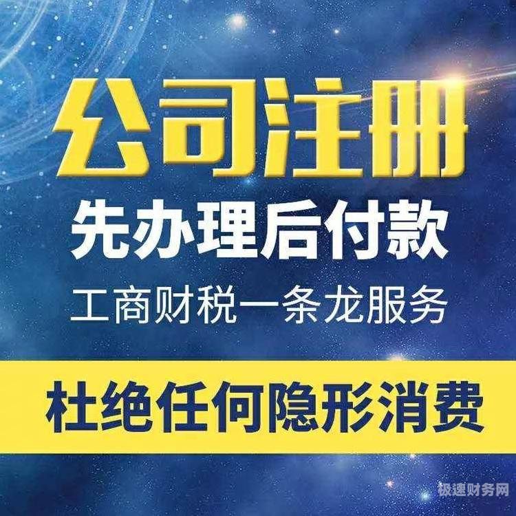 浙江税务怎么看税务季报（浙江税务年报网上怎么申报）