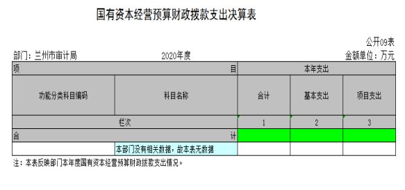 哪些部门是审计的重点部门（审计重点领域指的是什么）