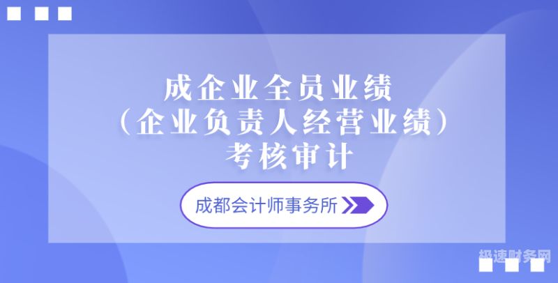 审计业绩怎么写（审计业绩怎么写范文）