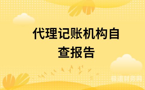 代理记账风险大怎么选（代理记账风险规避策略）