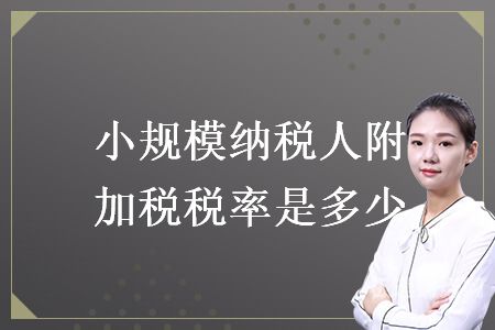 小规模纳税人如何收取税点（小规模纳税人如何收取税点费用）