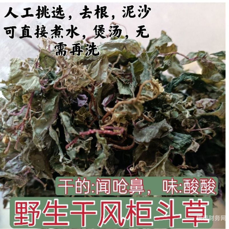 斗草商标贴纸怎么贴（斗草商标贴纸怎么贴好看）