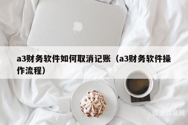 如何撤销财务软件账单记账（会计软件怎么取消记账）