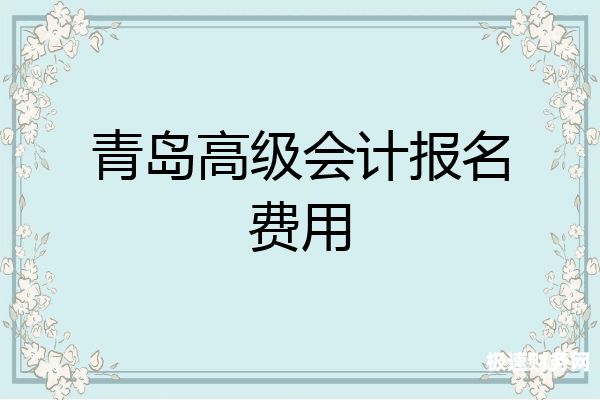 青岛财税如何收费的（青岛财政会计网官网）