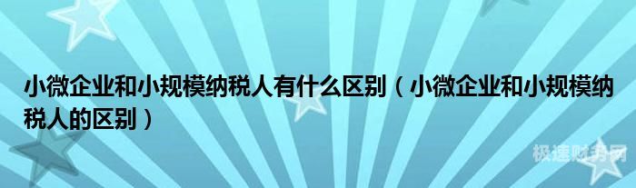 小企业怎么变成一般纳税人（小微企业怎样变成一般纳税人）