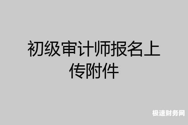 初级审计考过了怎么审核（初级审计考过了怎么审核通过）